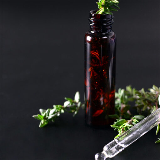 Heilkräuter Lexikon – mit der Natur sanft zur Gesundheit